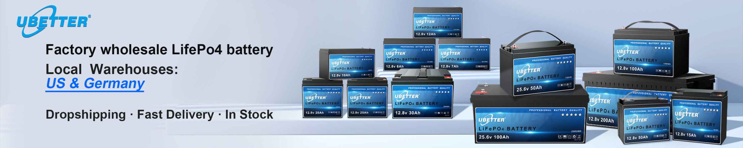 Factory wholesale LifePo4 battery
