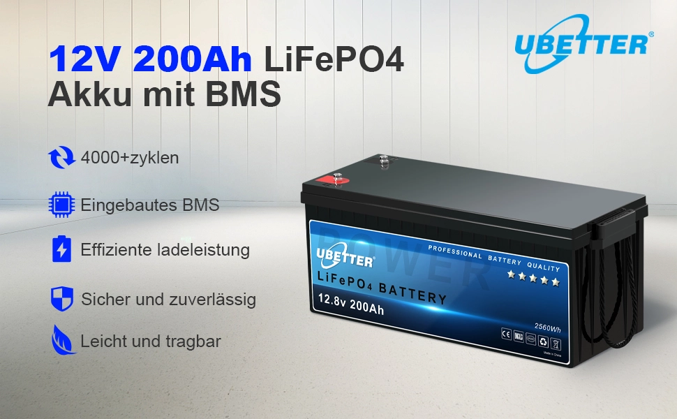 LiFePO4 Akku 12V 200Ah 2560Wh